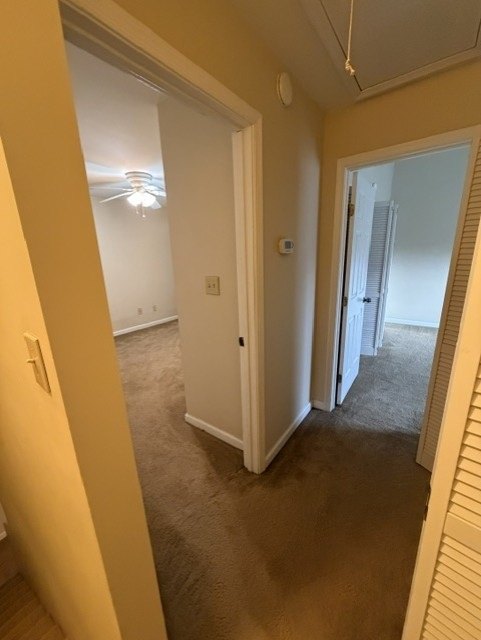 Gallery Photo 13